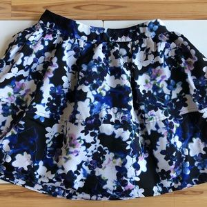 Express skirt